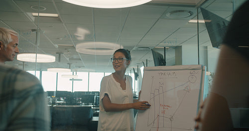 Businesswoman presenting her ideas to colleagues