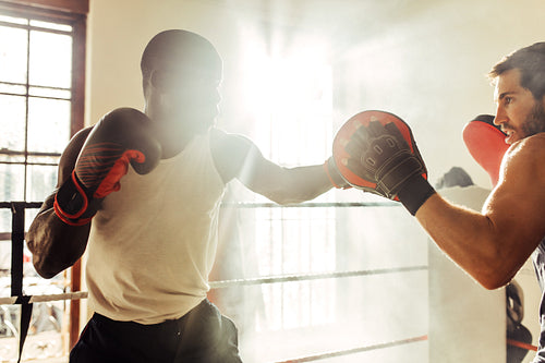 Young black boxer training in the gym