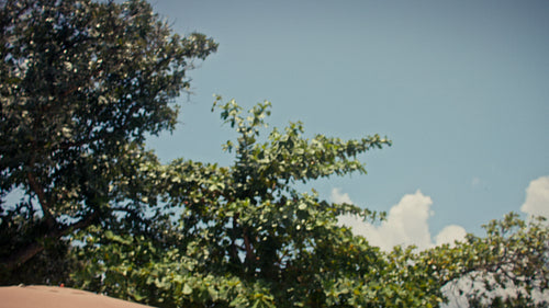 Happy friends and family enjoying a playful piggyback competition in a sunny tropical pool