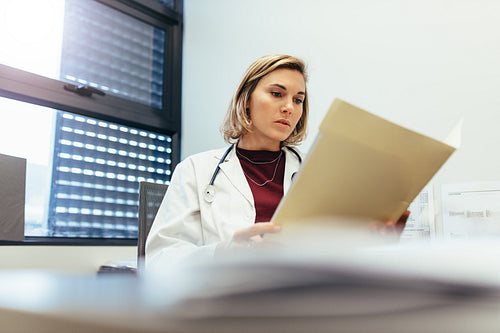 Female doctor studying medical records