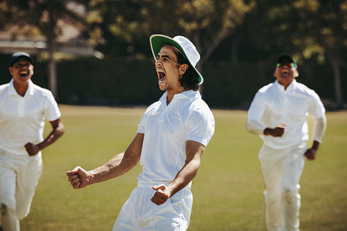 Team celebrating a victory during a cricket match