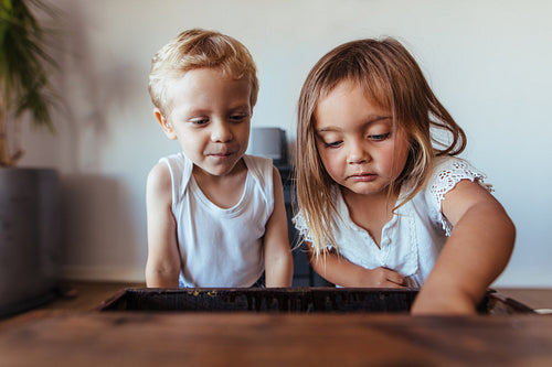 Kids looking into a old wooden trunk