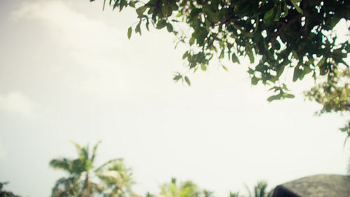 Smiling mother and daughter receive tropical coconut drinks from attentive resort staff by the pool