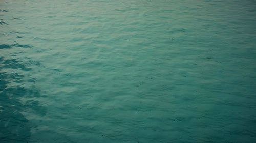 Turquoise ocean water gently rippling over a clear sandy seabed