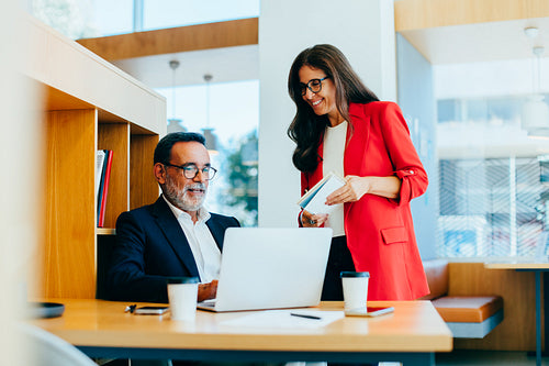 Senior professionals discussing project details with a laptop in a bright office