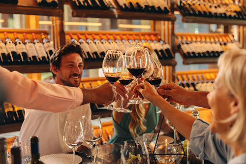 Group of people celebrating together with wine glasses in luxury wine cellar