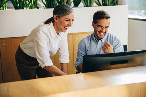 Colleagues working together on project