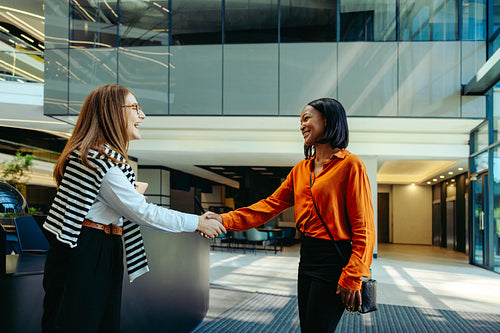Two professional women greet each other with a handshake on the first day as a tax advisor
