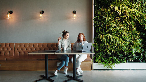 Female professionals having an online meeting with clients in a coworking office