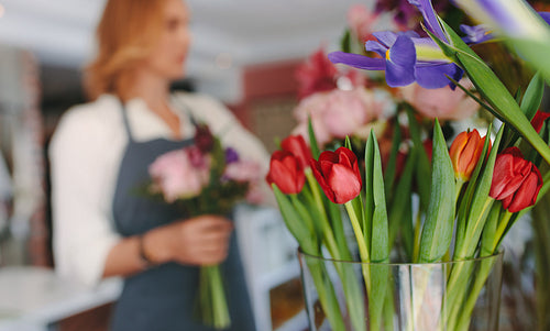 Fresh Tulip flowers at florist shop