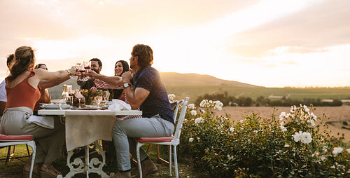 Group of friends toasting wine at dinner party