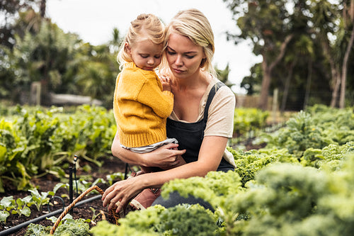 Mother carrying her daughter while gathering vegetables
