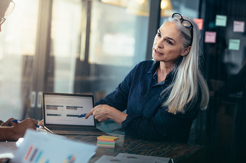 Female entrepreneur discussing financial reports with coworkers