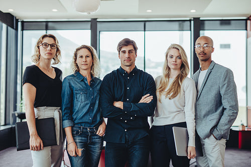 Portrait of a diverse business team in office