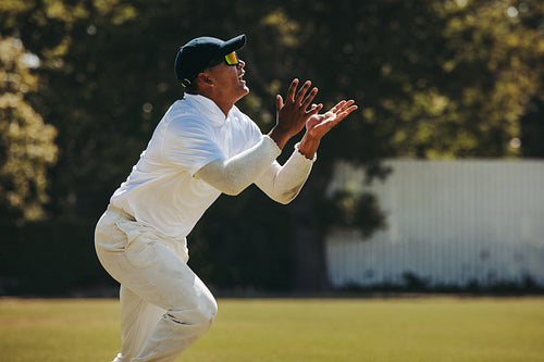 Cricketer preparing to catch a ball during a daytime match