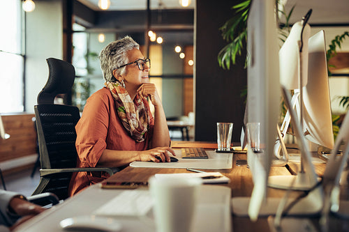 Mature businesswoman working on a computer in an office