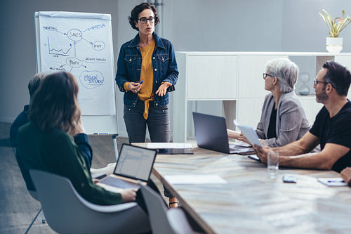 Businesswoman explaining her proposal to colleagues