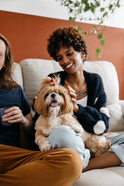 Couple relaxing at home with their adorable dog