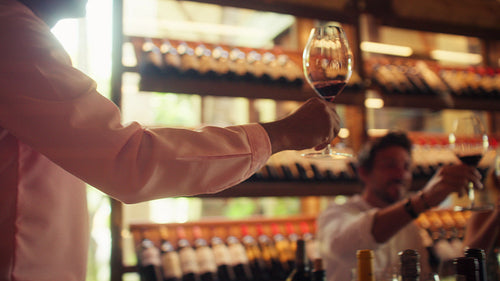 Close-up wine toast with friends in a private cellar during a sommelier-led tasting