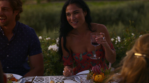 Friends having fun at a dinner party