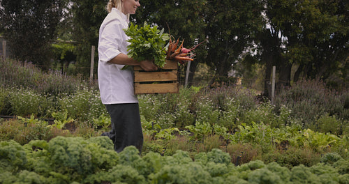 Happy female chef carrying freshly picked veggies on a farm