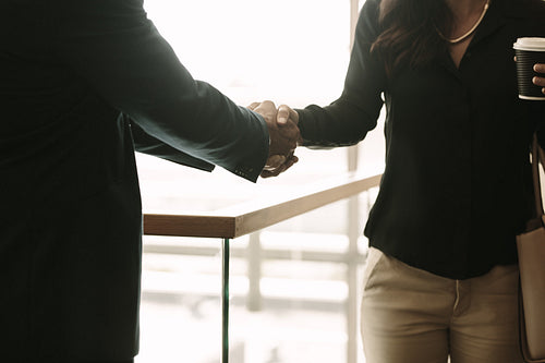 Colleagues greeting each other with hand shake