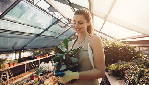 Happy female gardener taking care of cactus