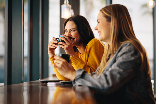 Smiling female friends in a coffee shop