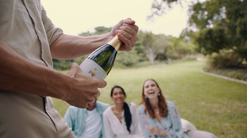 Friends having picnic party 