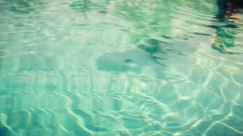 Father and son playing joyfully in a beautiful tropical resort pool on vacation