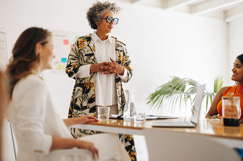 Successful businesswomen having a discussion during a meeting