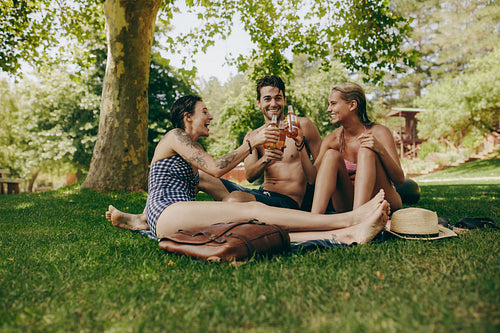 Friends toasting beer sitting in a park on a holiday