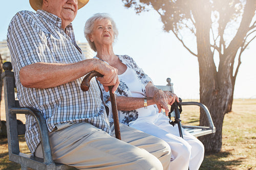 Senior couple sitting on a bench with walking stick