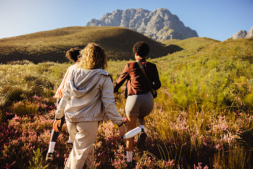 Hikers walking through a wildflower meadow