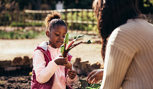 Little girl helping her mother in the garden