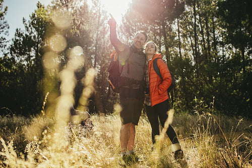 Campers in forest admiring a view