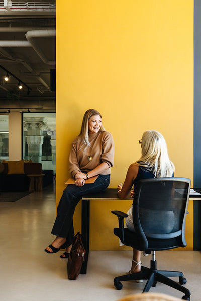 Two professional women having a conversation in a modern office environment