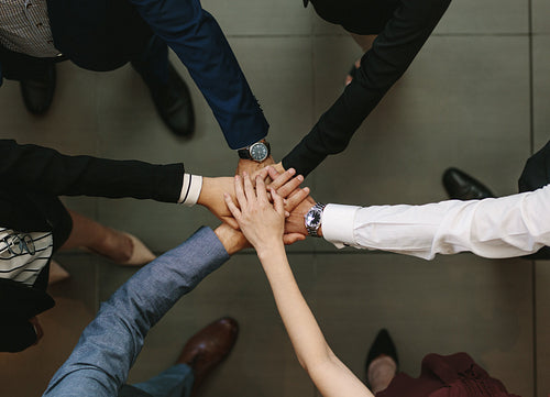 Business team showing unity