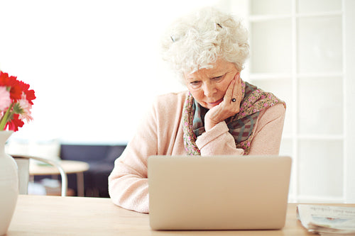Senior Woman Busy Browsing Her Laptop