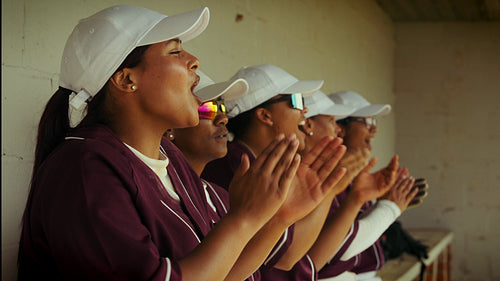 Dugout cheers: female baseball players support their team