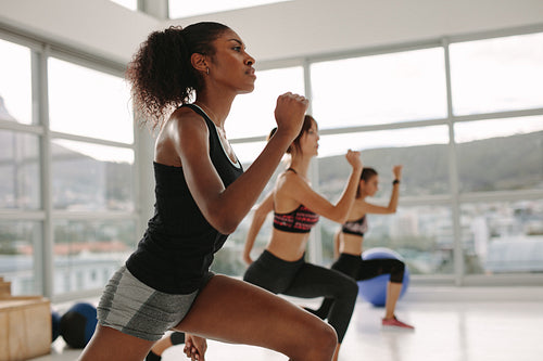 Females working out together in the health studio