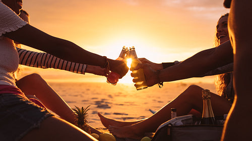 Friends having a picnic at the beach
