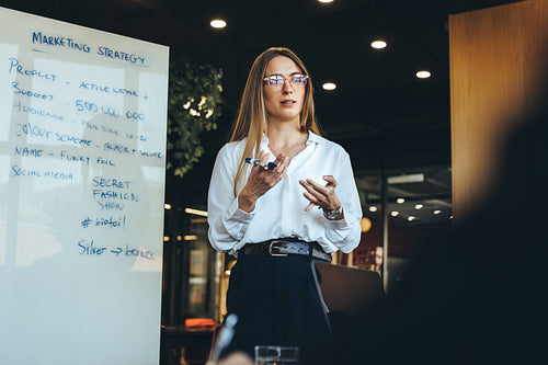 Female entrepreneur discussing her marketing strategy with her t