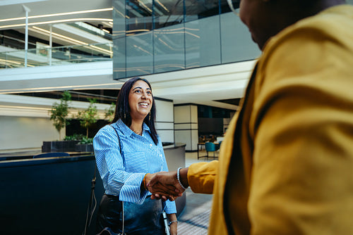Welcoming handshake between a client and professional in a modern office