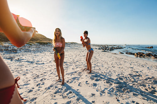 Smiling young women having fun on the beach