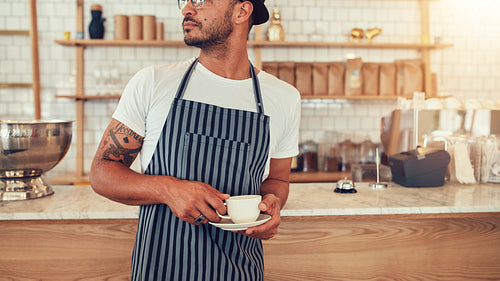 Young waiter standing at the cafe counter