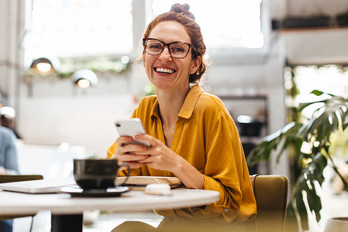 Professional woman using a mobile phone in restaurant