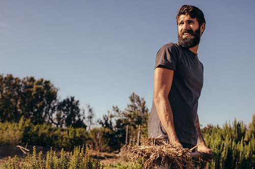 Male farmer working in the farm