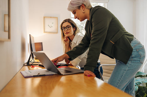 Female business partners working together in an office