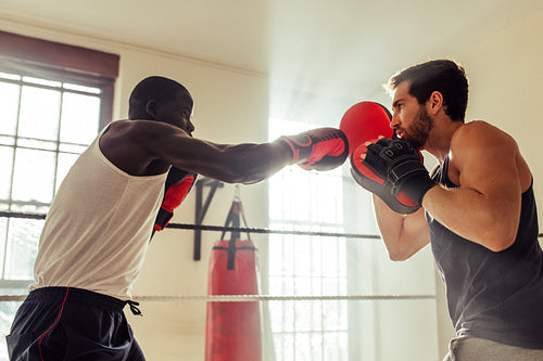 Boxer throwing a punch at his sparring partner in a gym